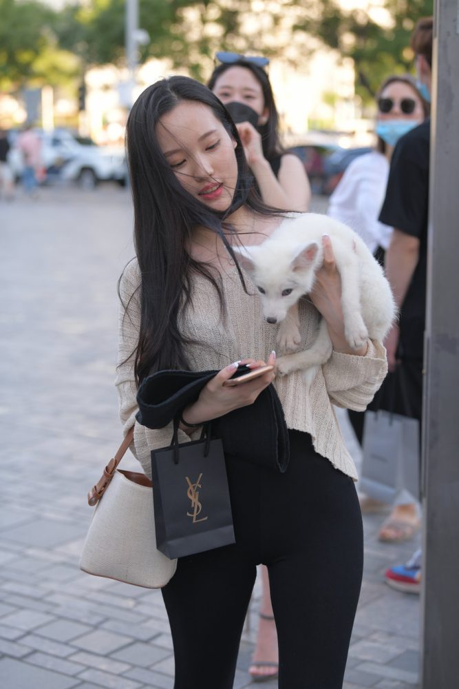 抱着小狗的漂亮女孩 J2106 136P-3.25GB-漫镜吧